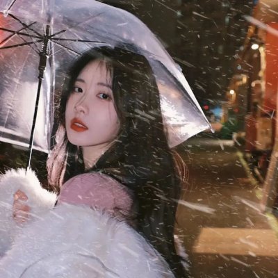 红翼行动